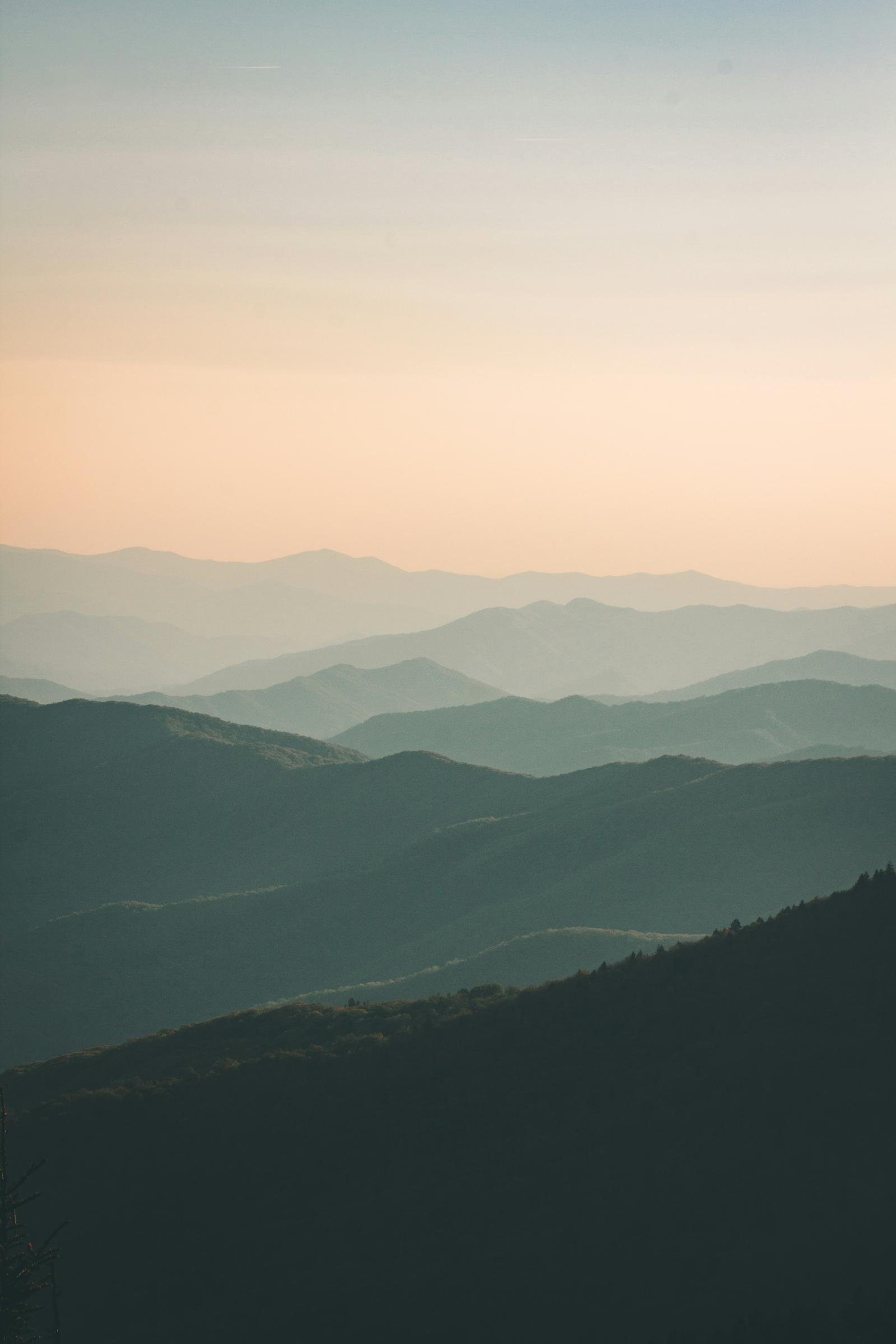 Ideas para distintas edades y estilos